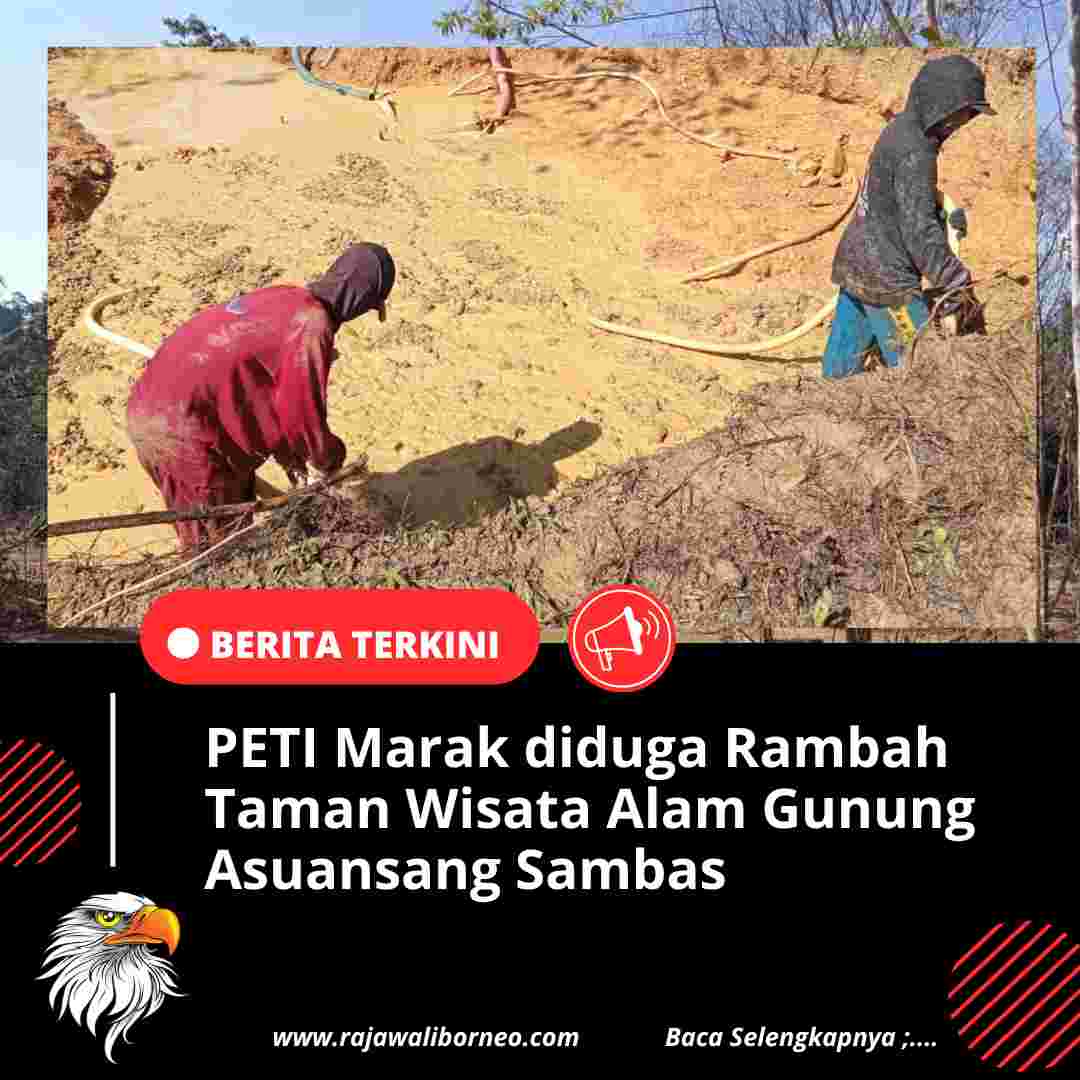 PETI Marak diduga Rambah Taman Wisata Alam Gunung Asuansang Sambas