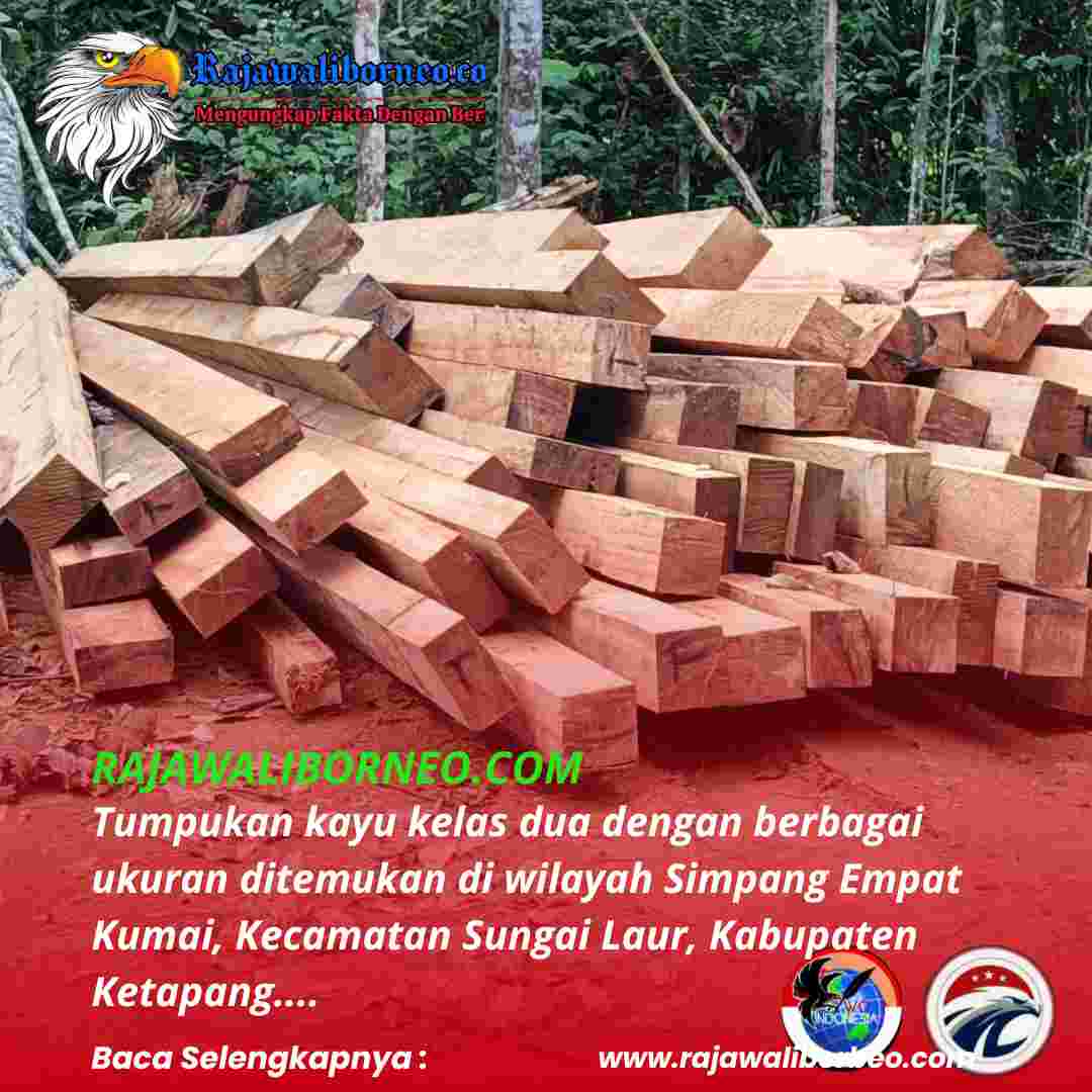 PB Diduga Dalangi Aktivitas Ilegal Logging di Ketapang