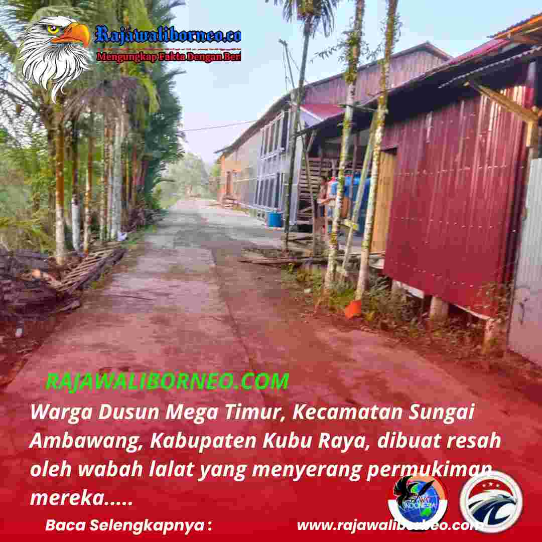 Peternakan Ayam Diduga Jadi Sumber Wabah Lalat di Mega Timur
