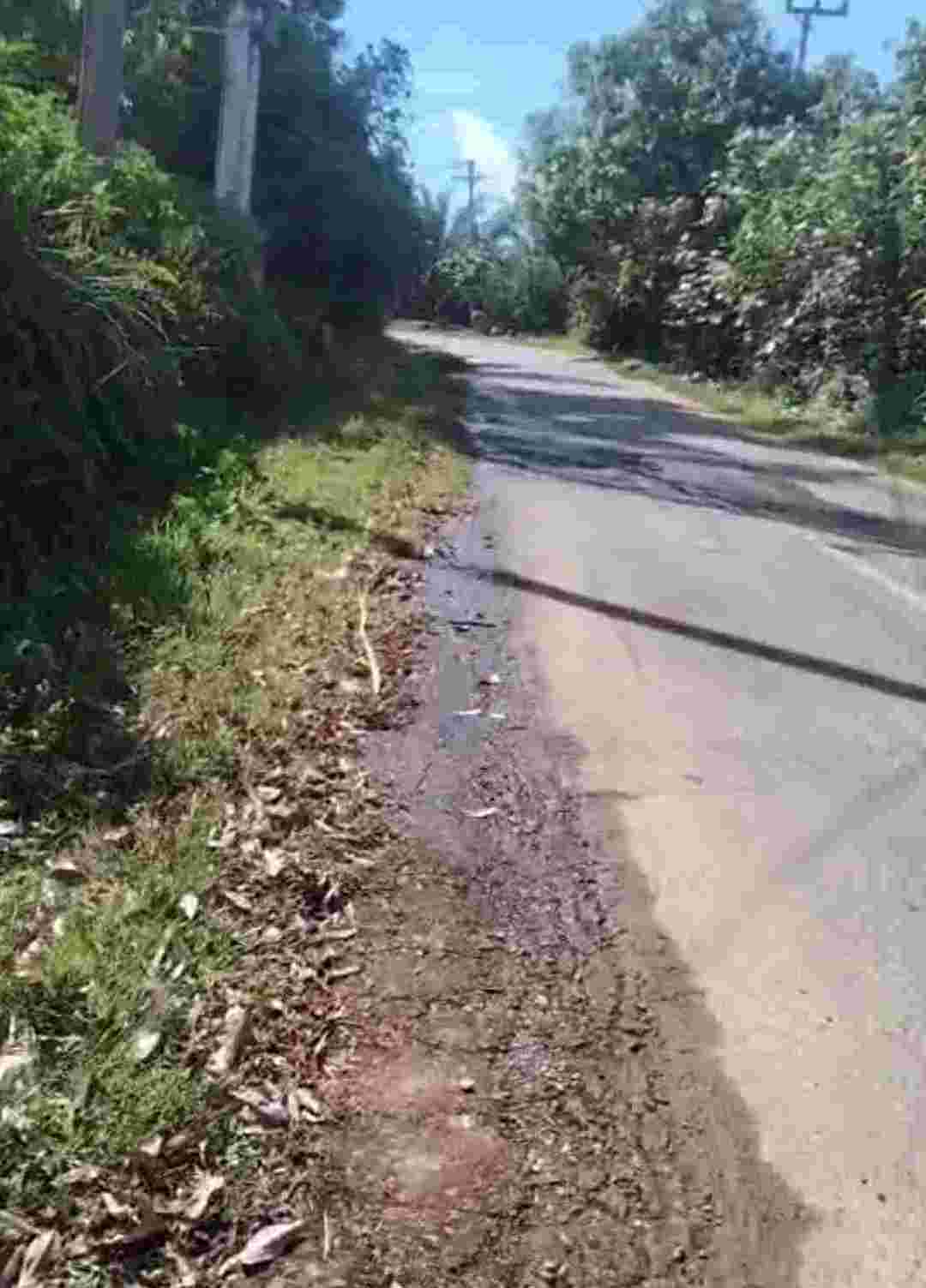 Saluran air di bahu jalan diduga tidak dibersihkan sejak lama.