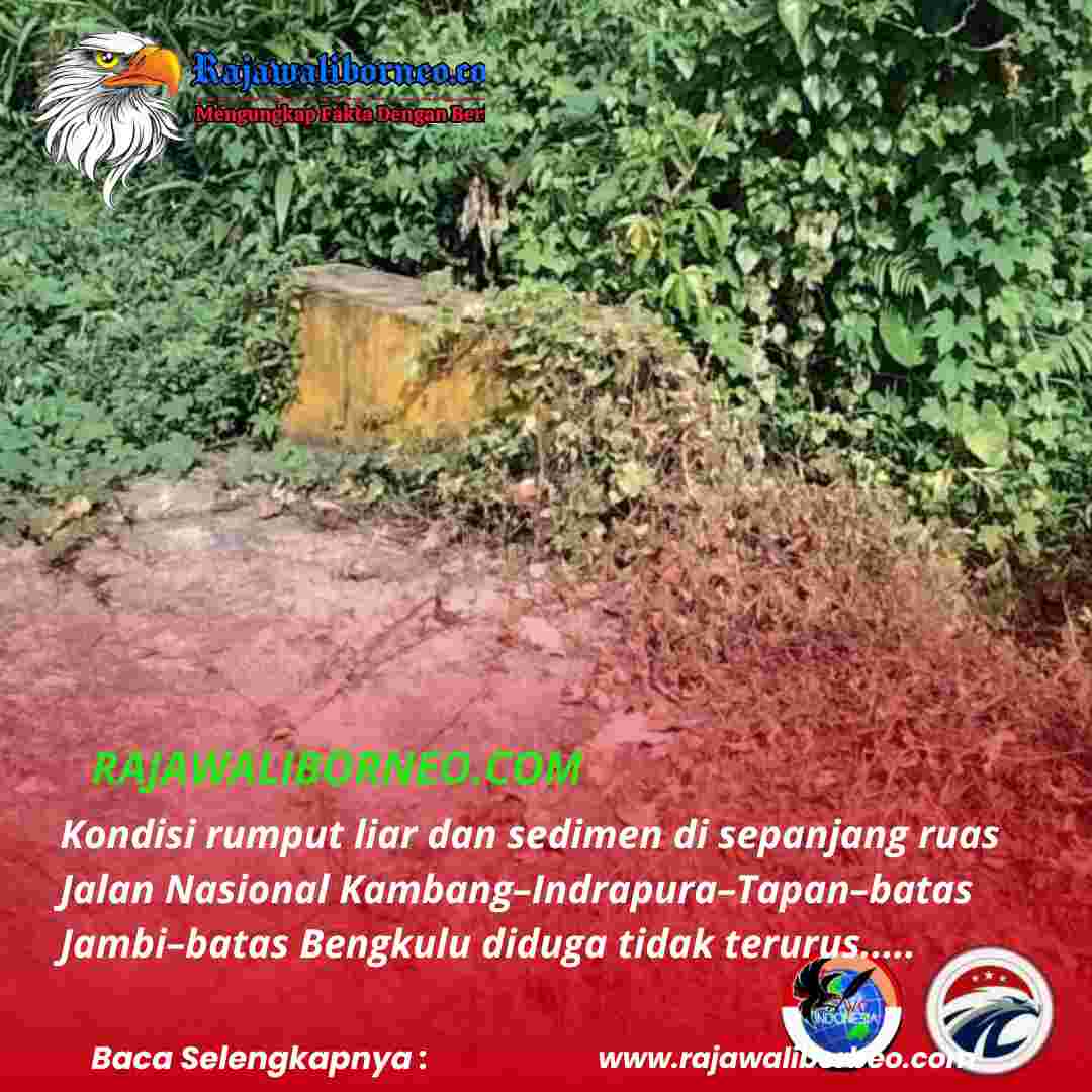Kondisi ruas jalan nasional tampak dipenuhi rumput liar dan sedimen
