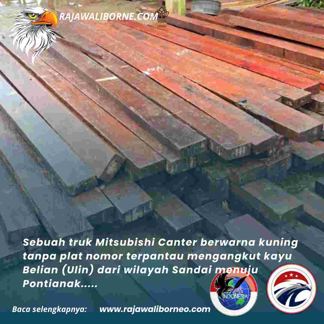 Truk Pembawa Kayu Belian Ilegal Masuk ke Toko Bangunan Oknum Polisi