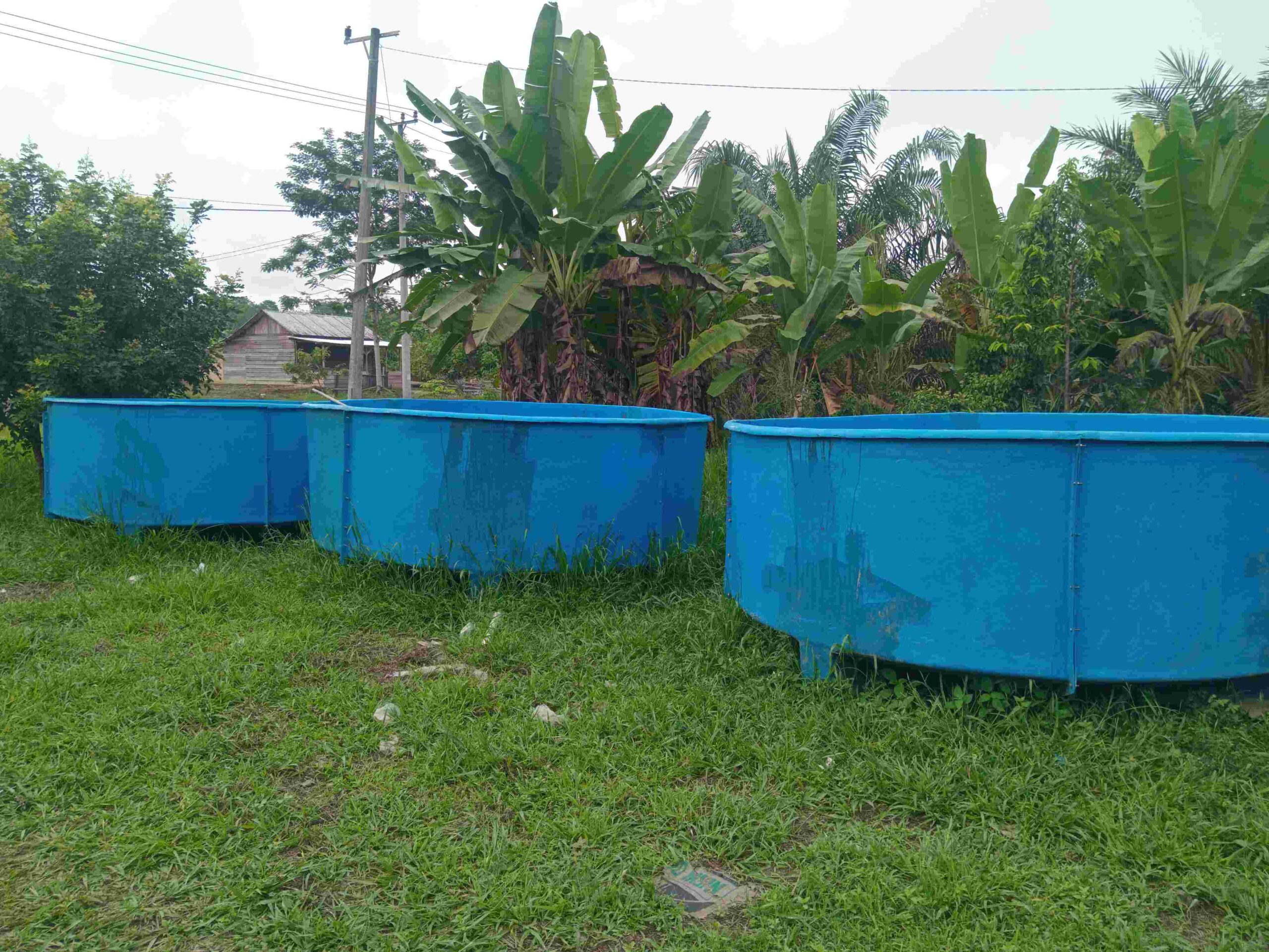 LSM LIN Soroti Penanganan Dugaan Korupsi APAR Muratara.