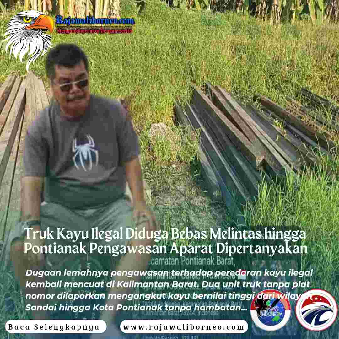 Kayu Ilegal Diduga Bebas Melintas Antarwilayah
