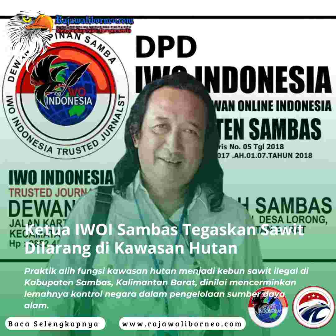 Ketua IWOI Sambas Tegaskan Sawit Dilarang di Kawasan Hutan