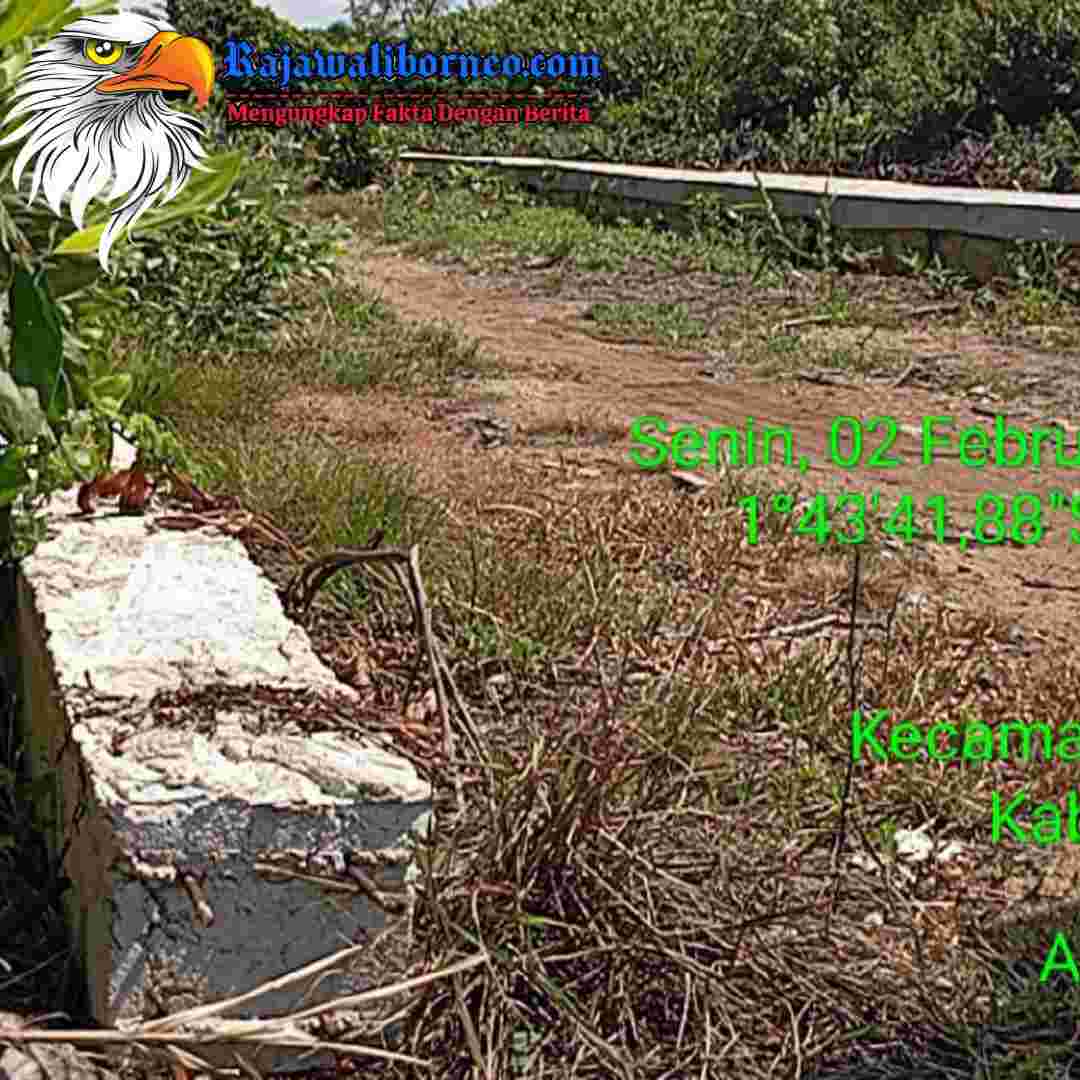 Proyek Tanpa Plang di Kawasan Hutan Ketapang.