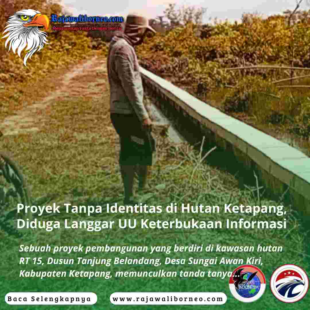 Proyek Tanpa Identitas di Hutan Ketapang, Diduga Langgar UU Keterbukaan Informasi