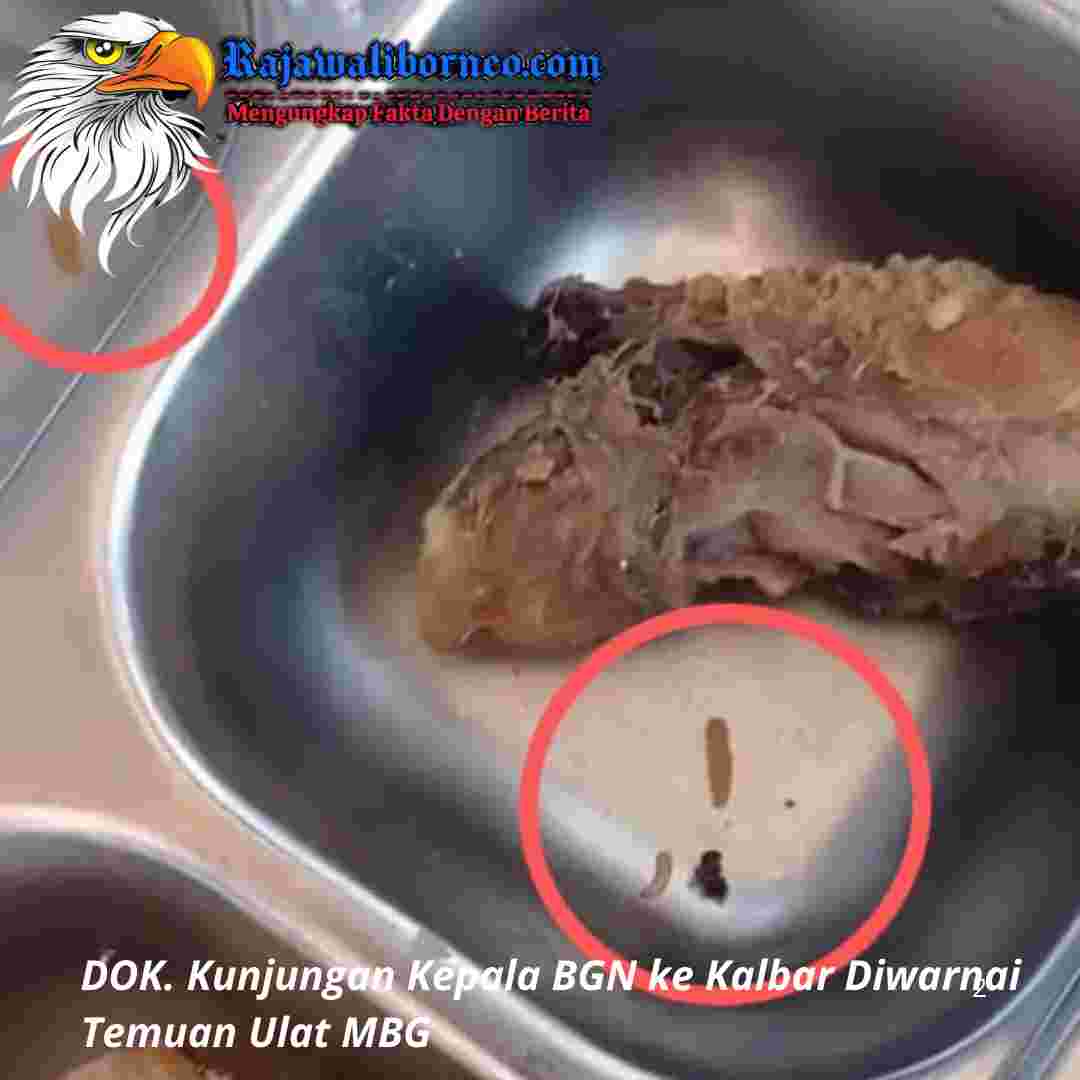 Kunjungan BGN ke Kalbar Disambut Temuan Ulat MBG.