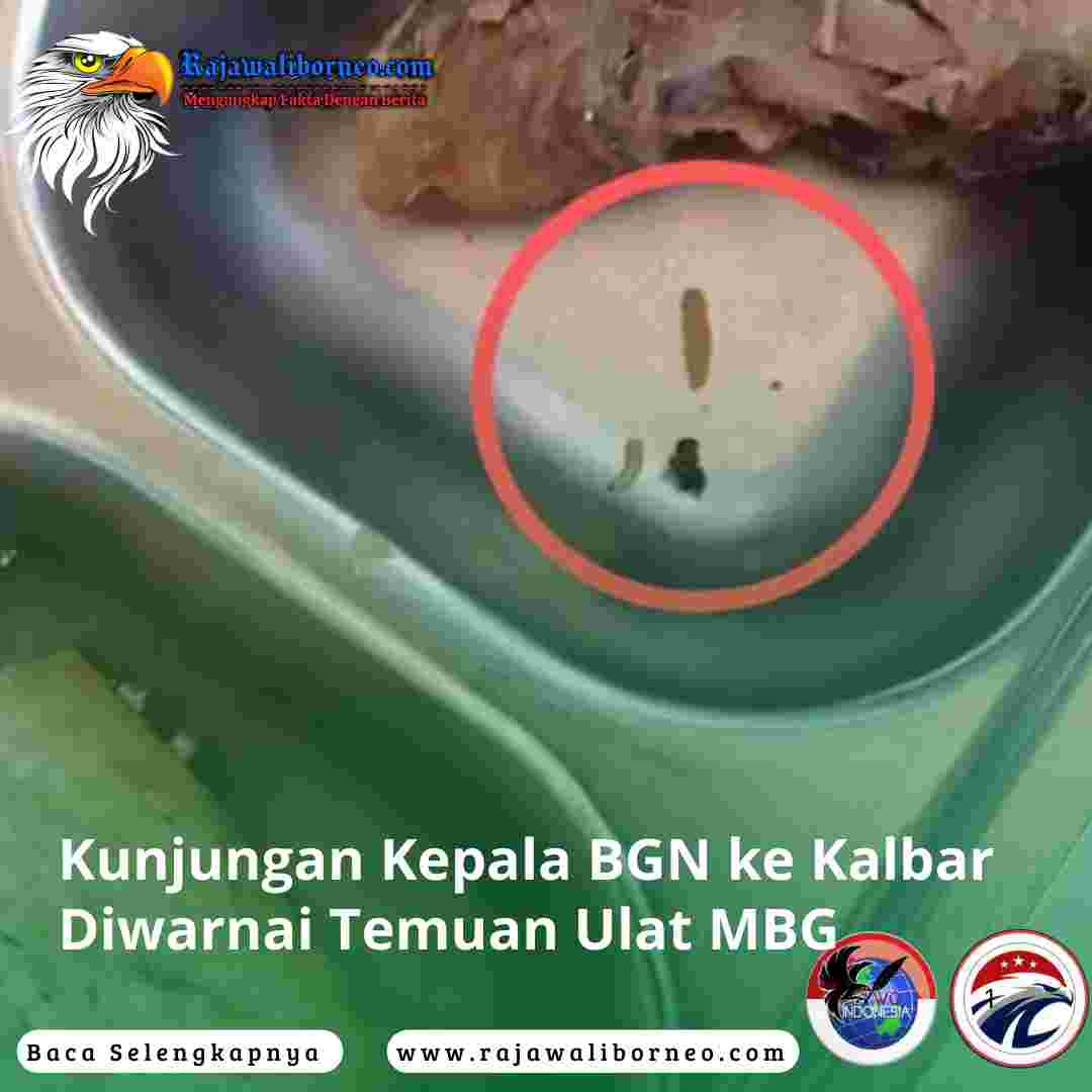 Kunjungan Kepala BGN ke Kalbar Diwarnai Temuan Ulat MBG