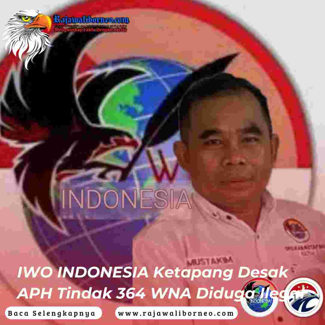 IWO INDONESIA Ketapang Desak APH Tindak 364 WNA Diduga Ilegal