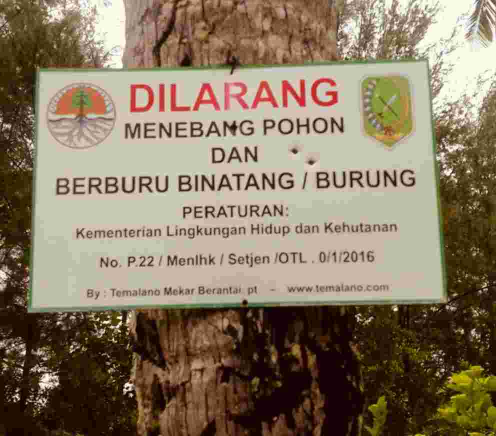 Pembabatan Mangrove Sebubus Disorot.