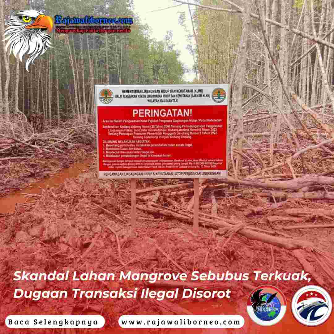 Skandal Lahan Mangrove Sebubus Terkuak, Dugaan Transaksi Ilegal Disorot