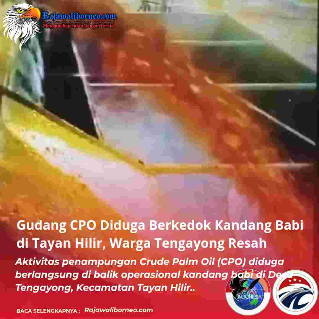 Gudang CPO Diduga Berkedok Kandang Babi di Tayan Hilir, Warga Tengayong Resah