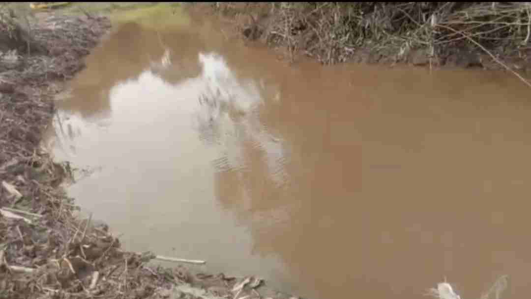Dugaan Penyalahgunaan Izin Tambang di Gunung Tamang.