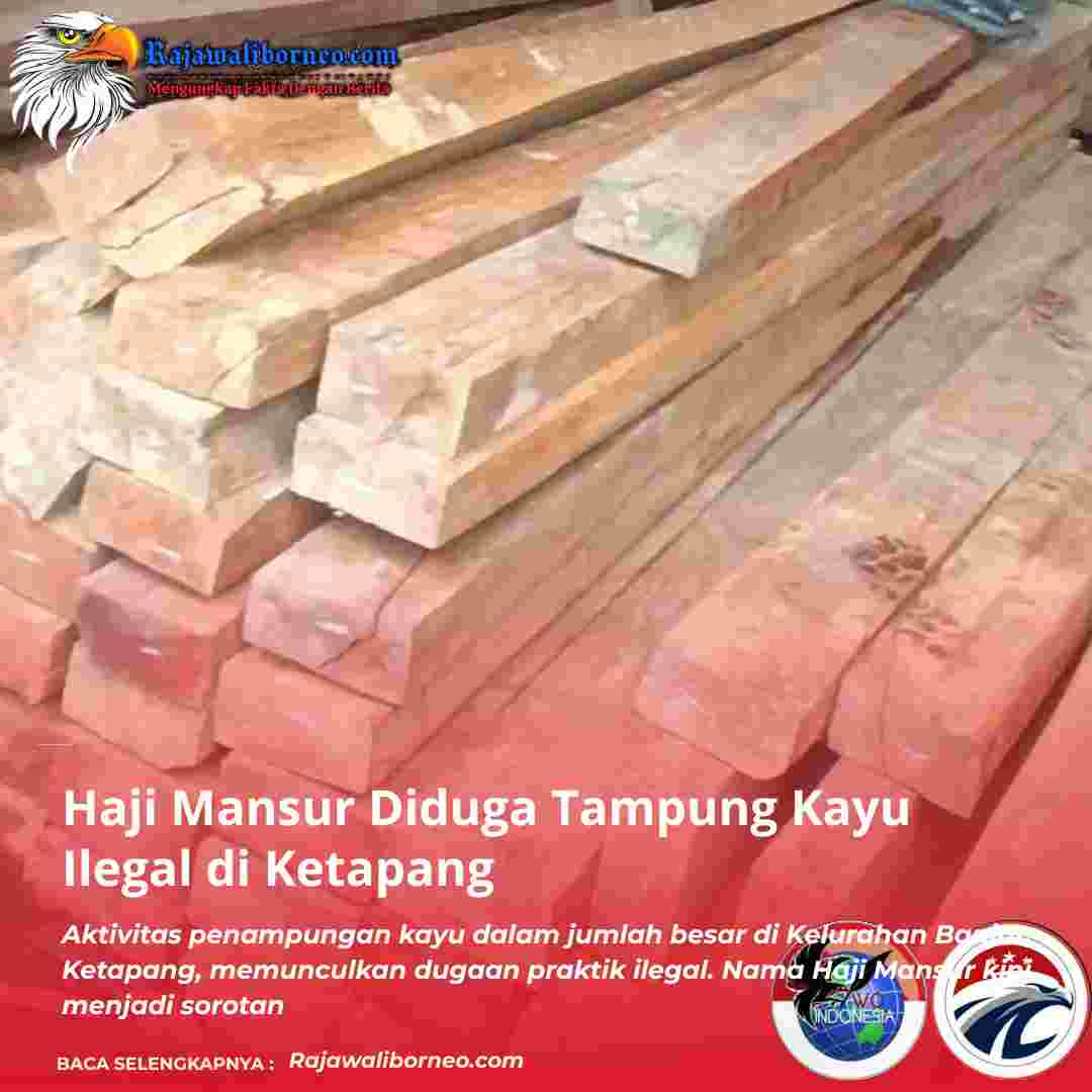 Haji Mansur Diduga Tampung Kayu Ilegal di Ketapang