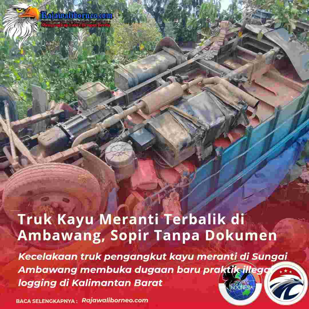 Truk Kayu Meranti Terbalik di Ambawang, Sopir Tanpa Dokumen