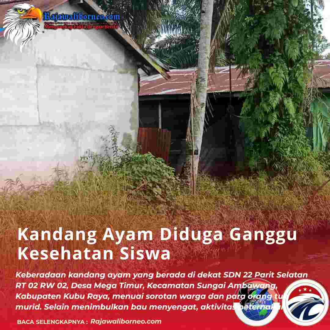 Kandang Ayam Diduga Ganggu Kesehatan Siswa
