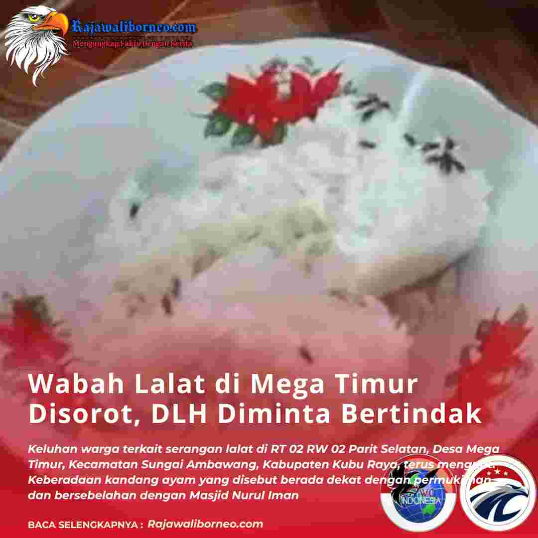 Wabah Lalat di Mega Timur Disorot, DLH Diminta Bertindak