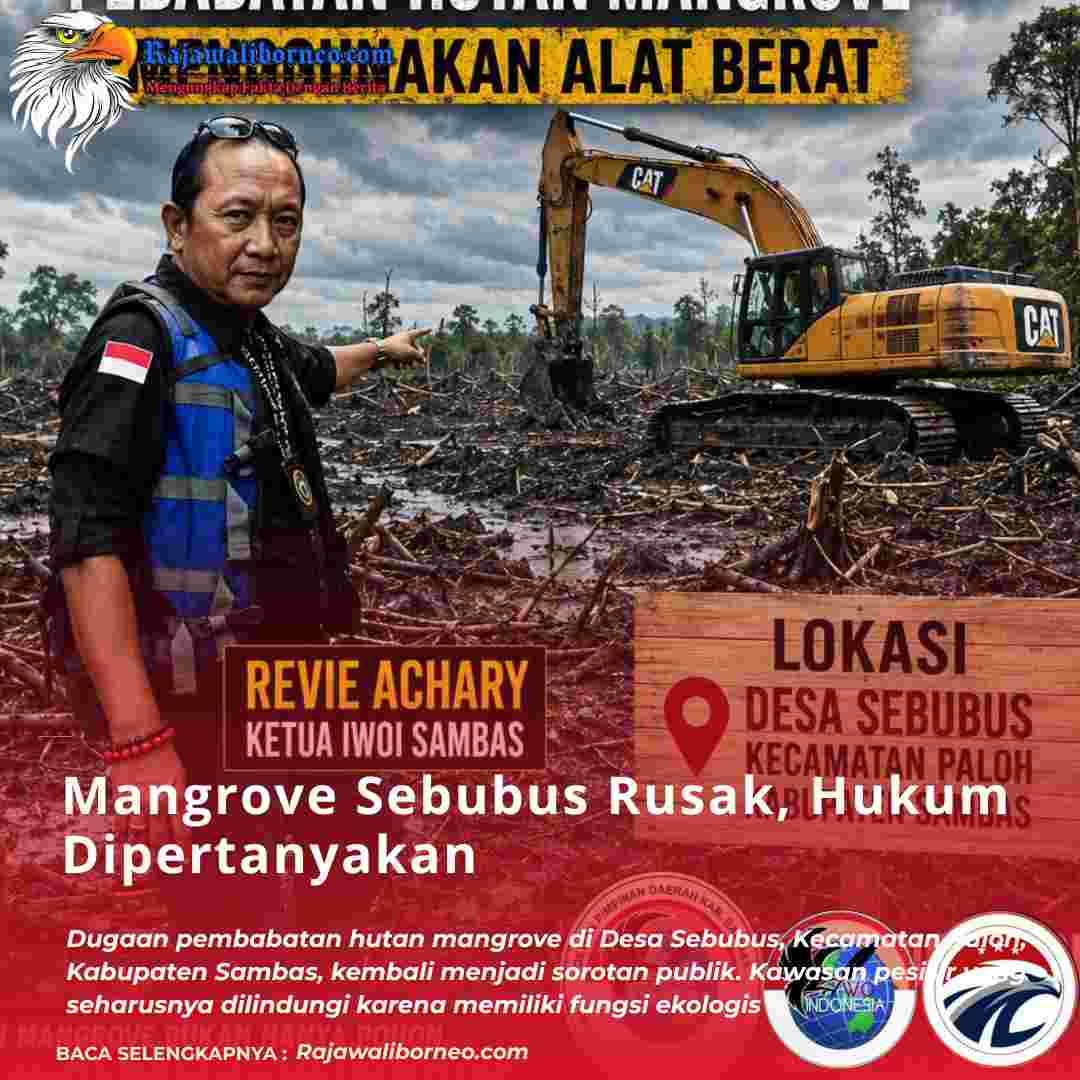Mangrove Paloh Rusak, Aparat Dipertanyakan