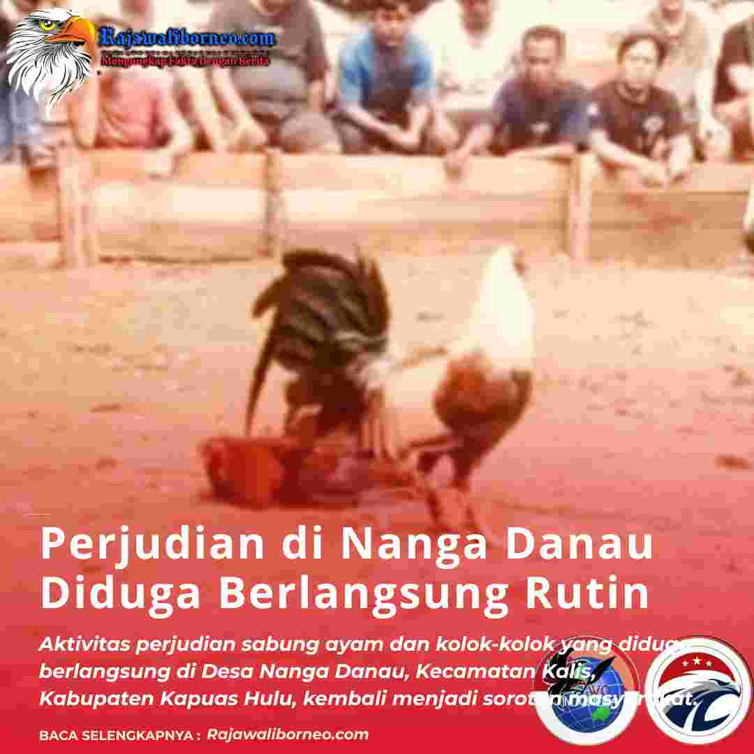 Perjudian di Nanga Danau Diduga Berlangsung Rutin