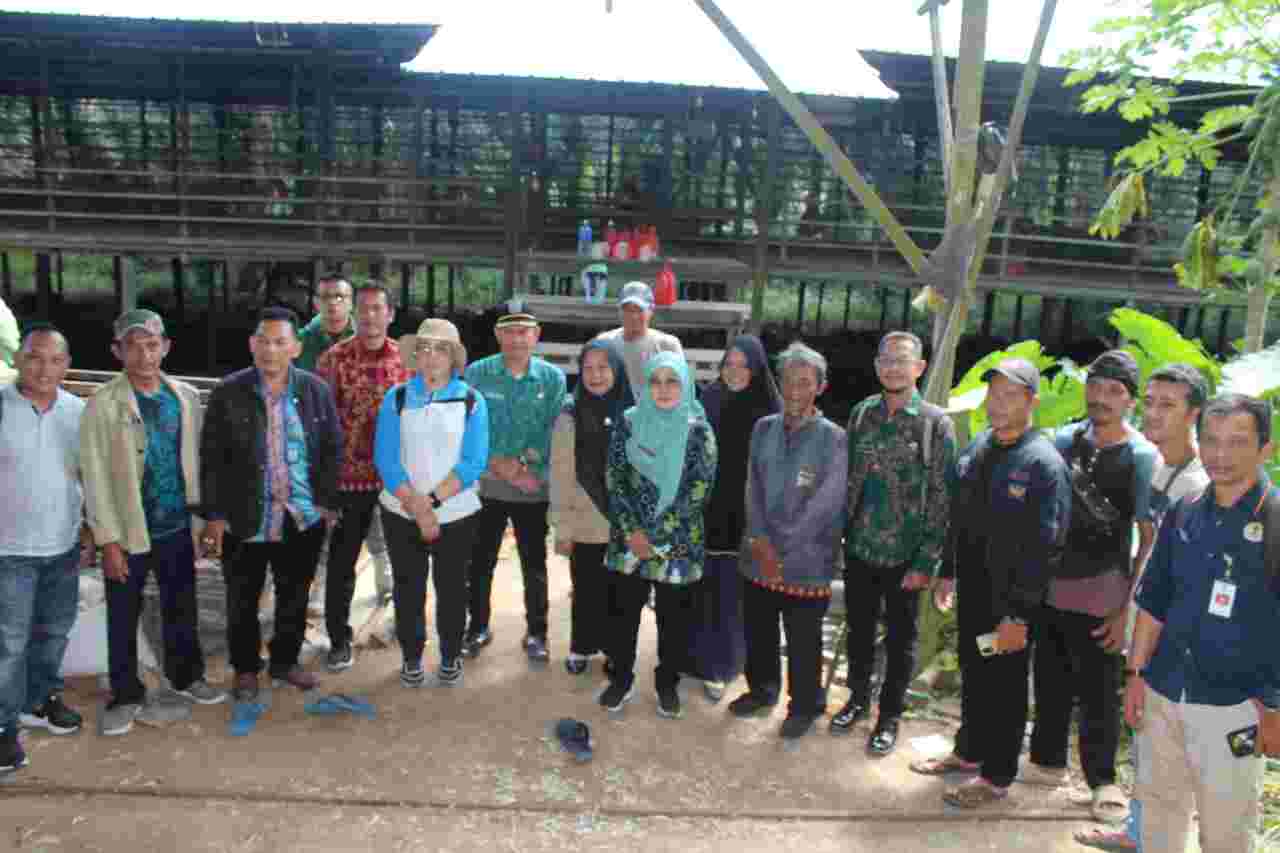 Sidak Gabungan Ungkap Persoalan Limbah dan Legalitas Kandang Ayam.