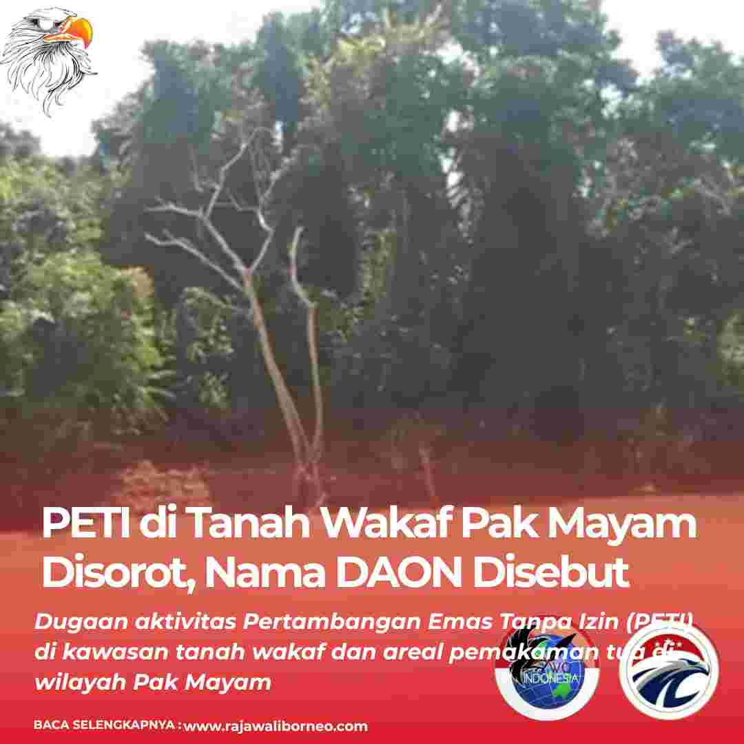 PETI di Tanah Wakaf Pak Mayam, Nama DAON Disebut