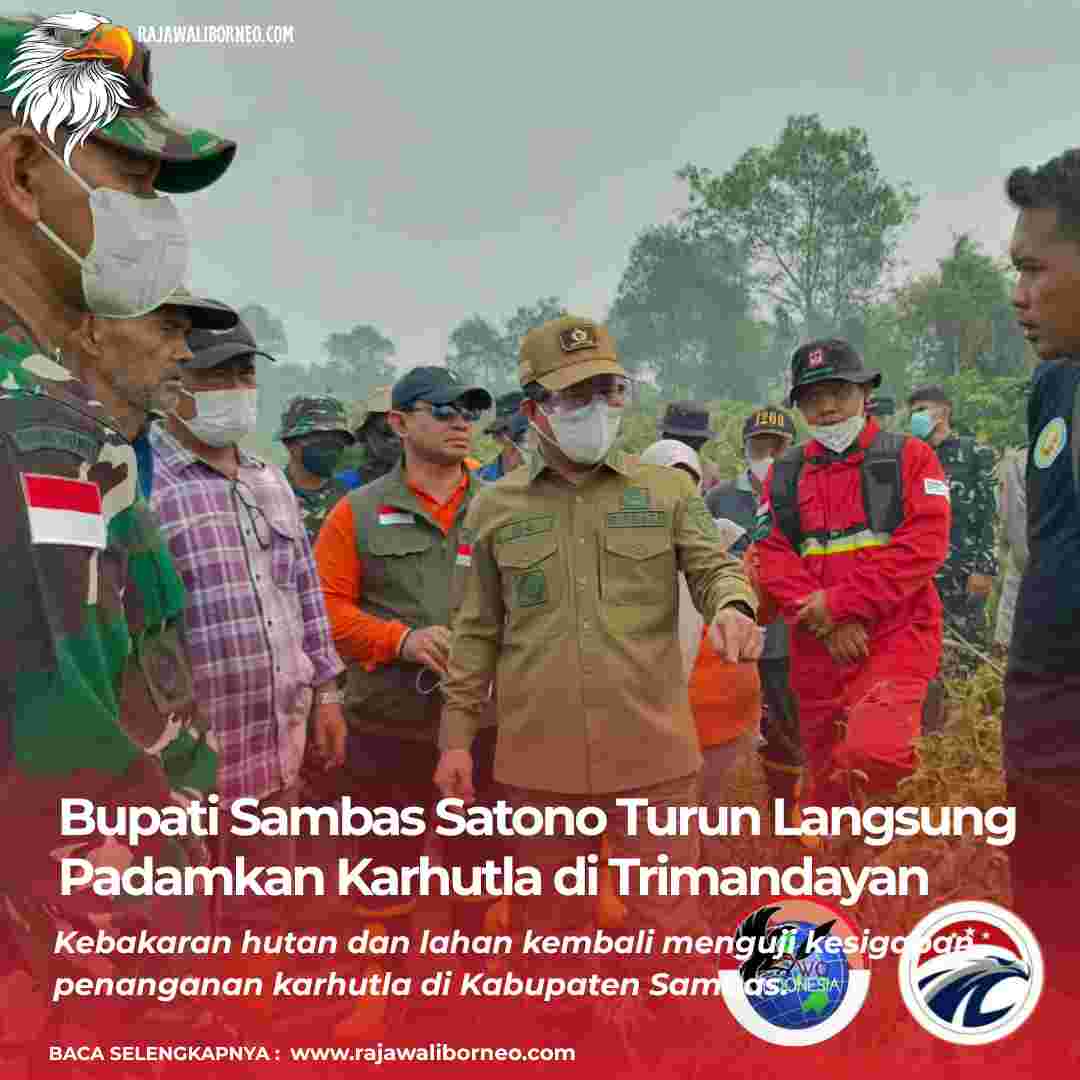 Bupati Sambas Satono Turun Langsung Padamkan Karhutla di Trimandayan